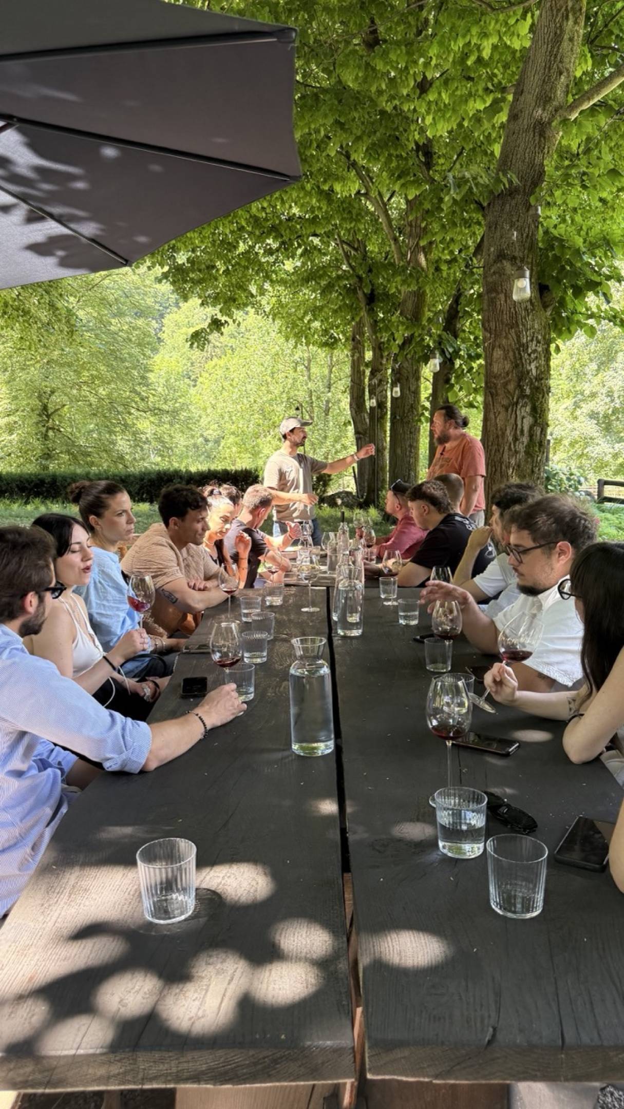 I cinque vini di Le Grappin: un viaggio nella Côte de Beaune