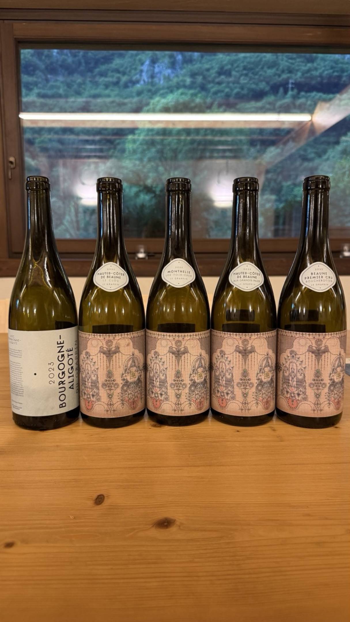 I cinque vini di Le Grappin: un viaggio nella Côte de Beaune