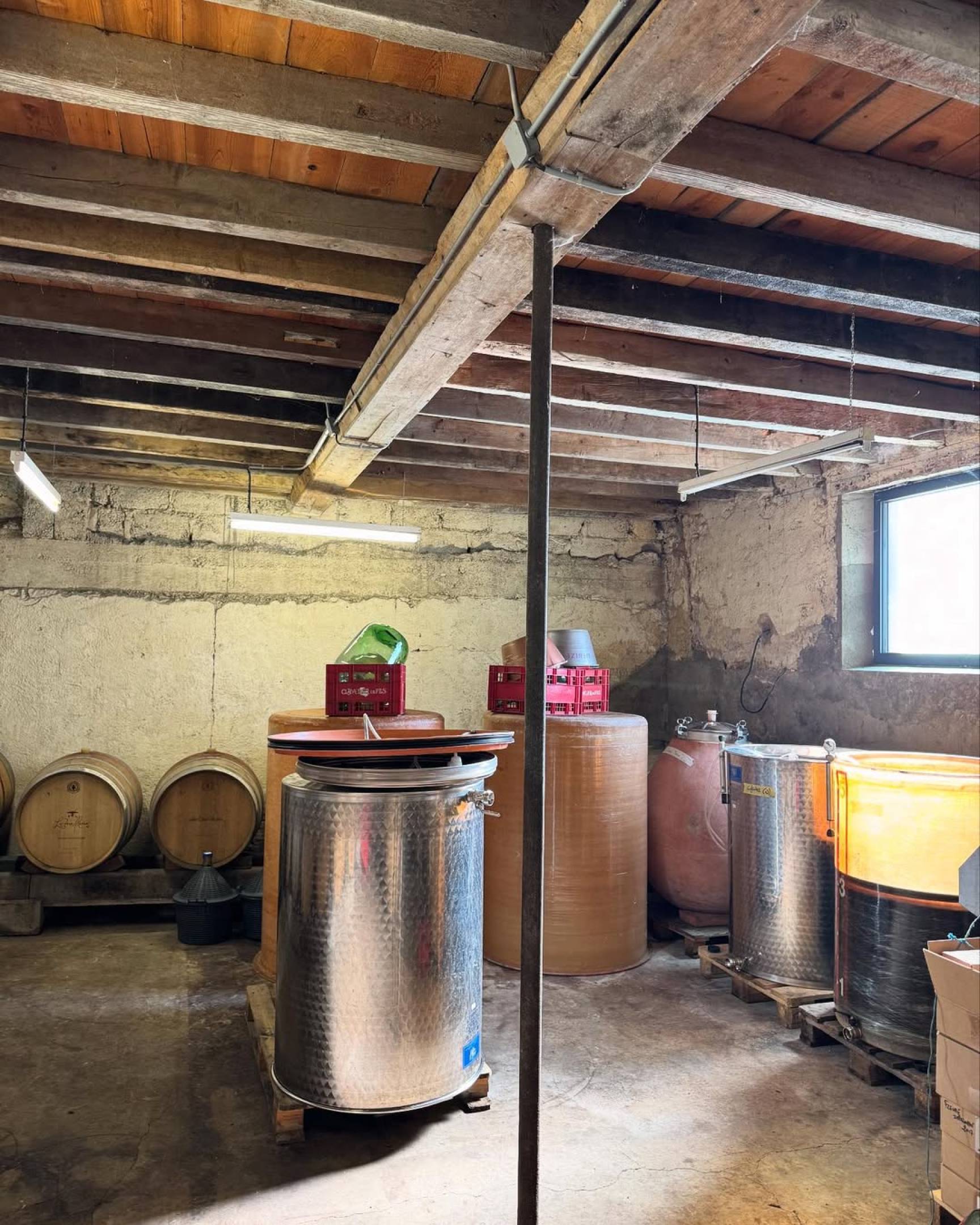 Perché scegliamo chi scegliamo: la filosofia di selezione di Wild Vigneron