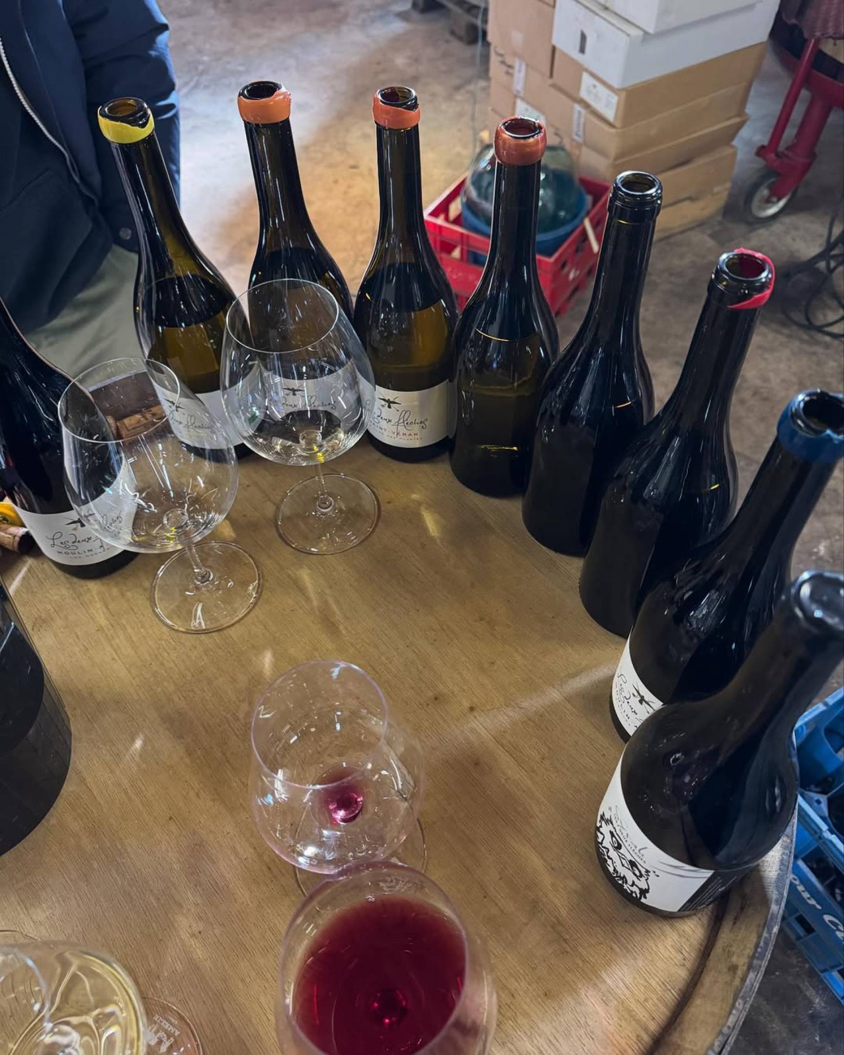 Perché scegliamo chi scegliamo: la filosofia di selezione di Wild Vigneron