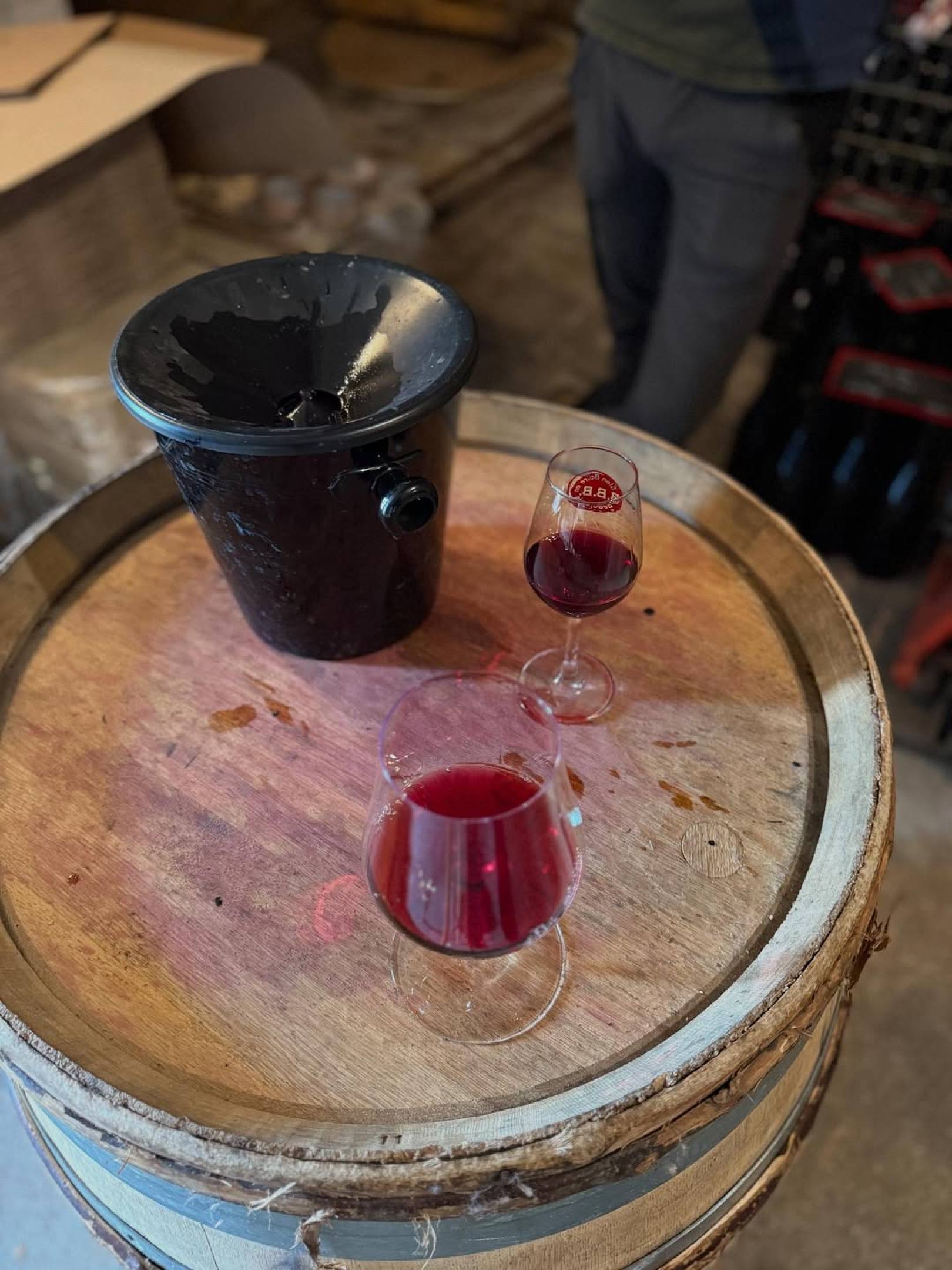 Perché scegliamo chi scegliamo: la filosofia di selezione di Wild Vigneron