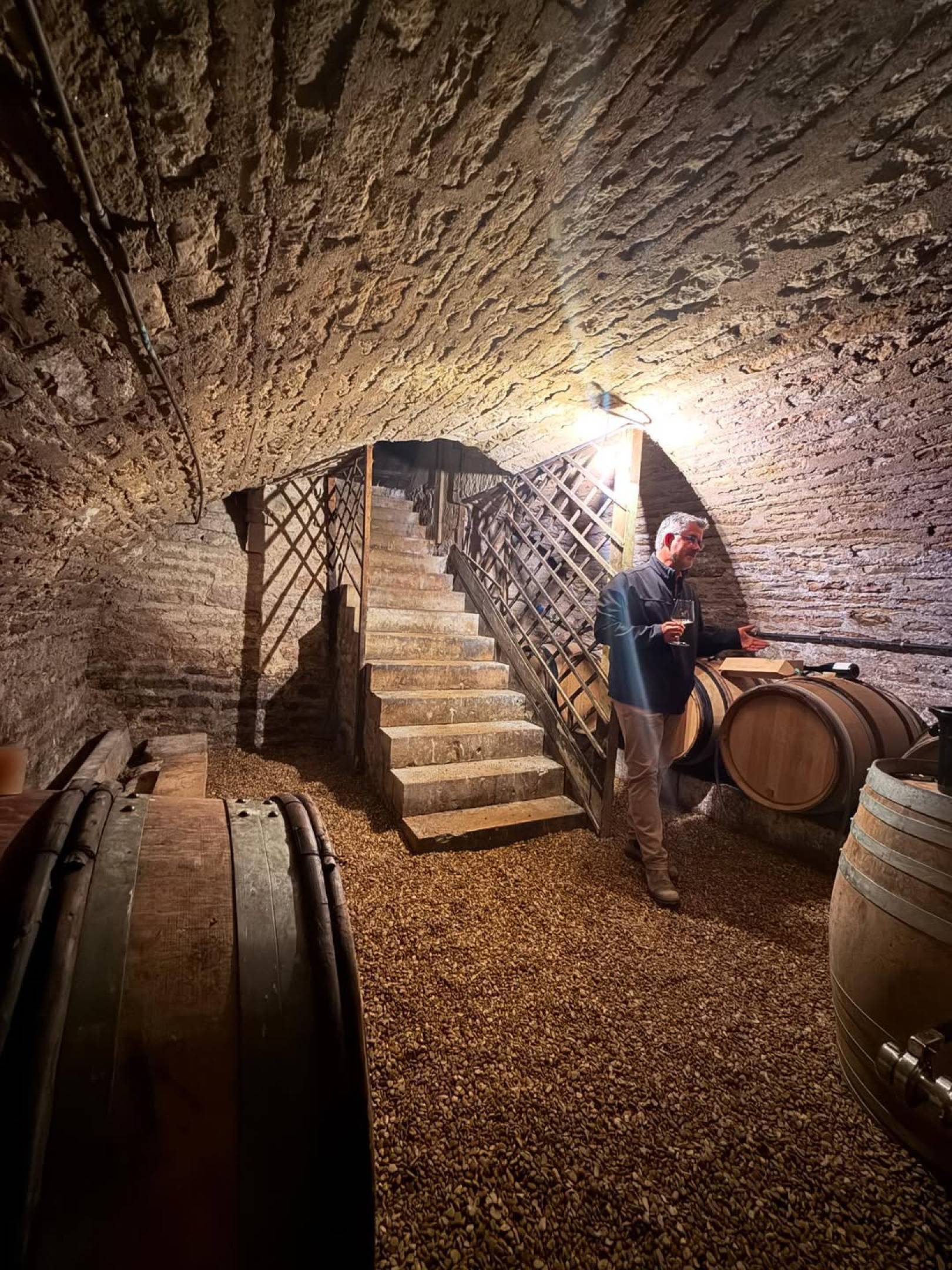 Perché scegliamo chi scegliamo: la filosofia di selezione di Wild Vigneron