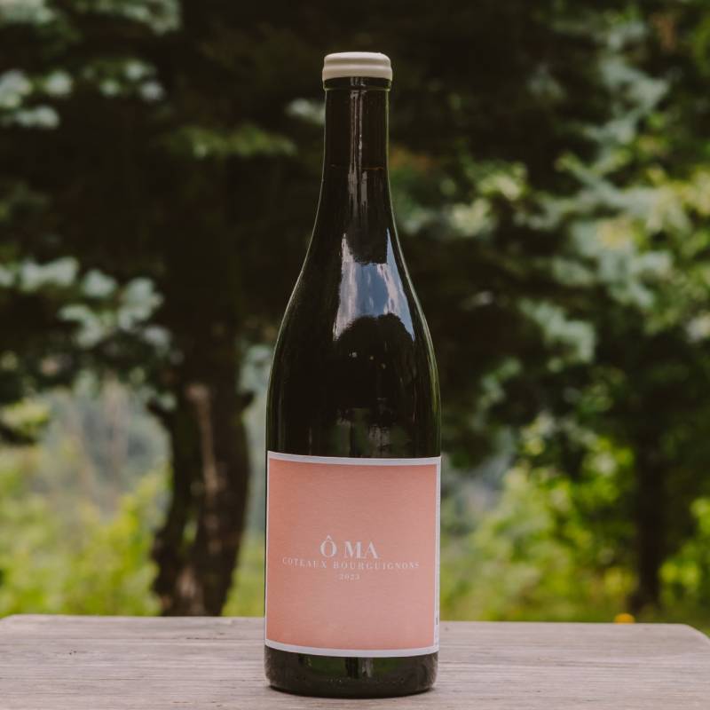 Coteaux-Bourguignons Rouge