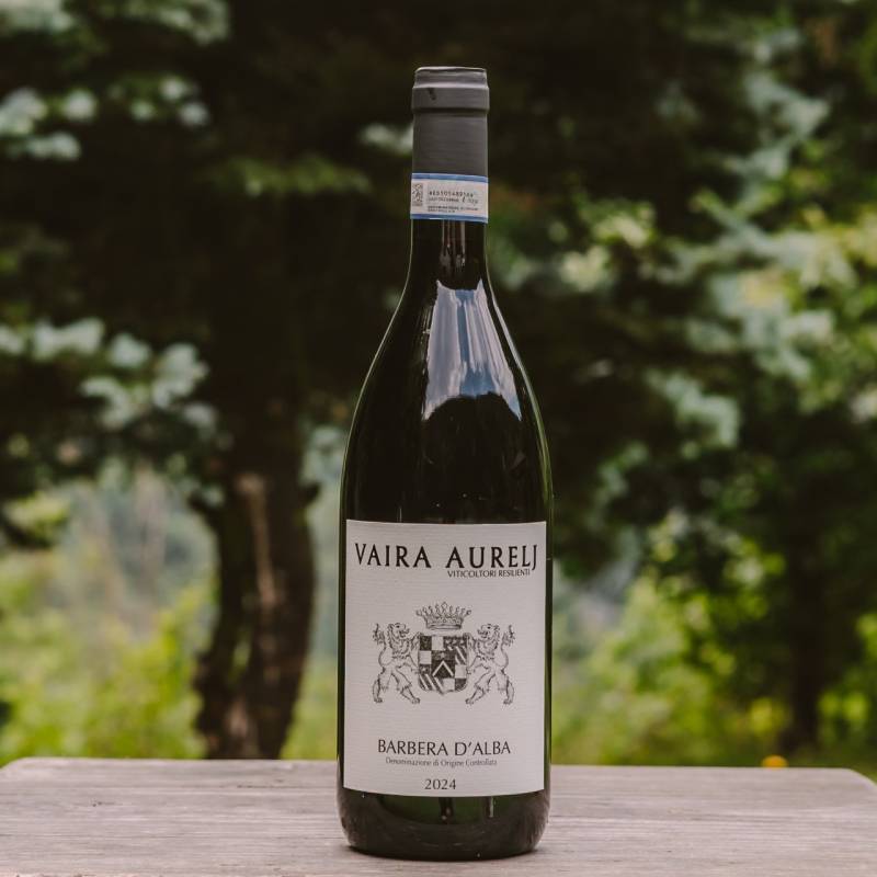 Barbera d'Alba