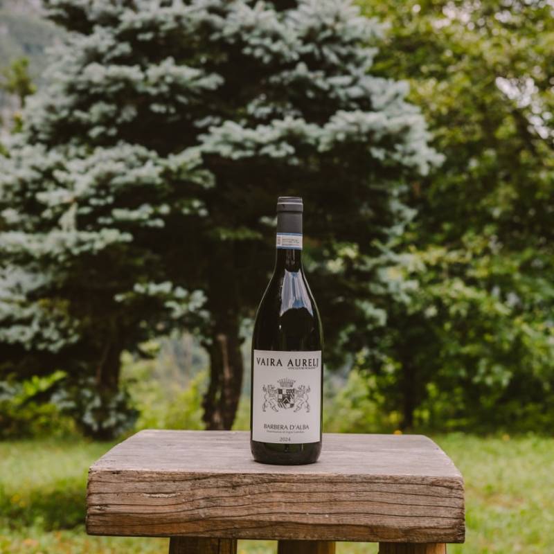 Vaira Aurelj Barbera d'Alba