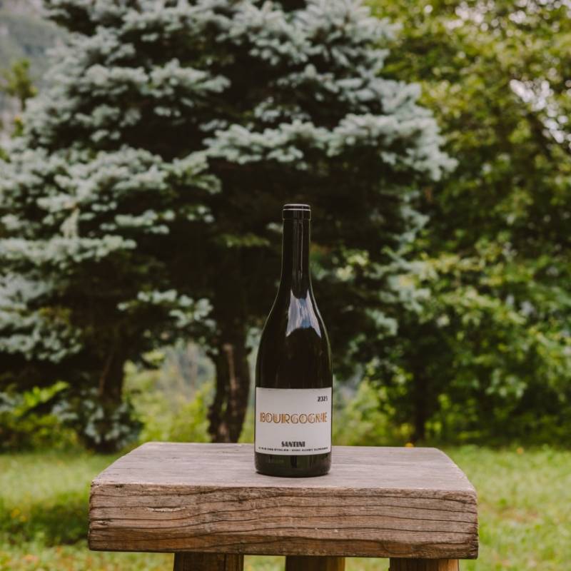 Christopher Santini Bourgogne Blanc