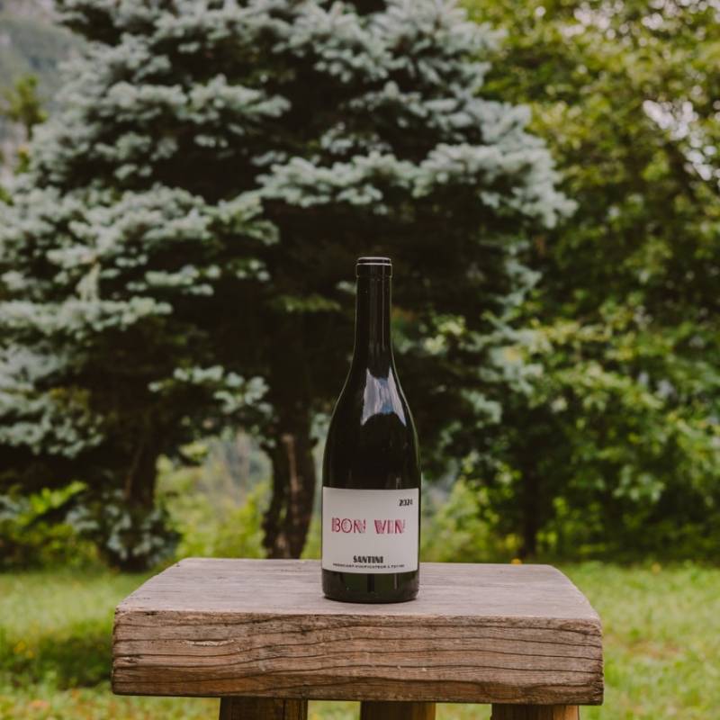 Christopher Santini Bon Vin