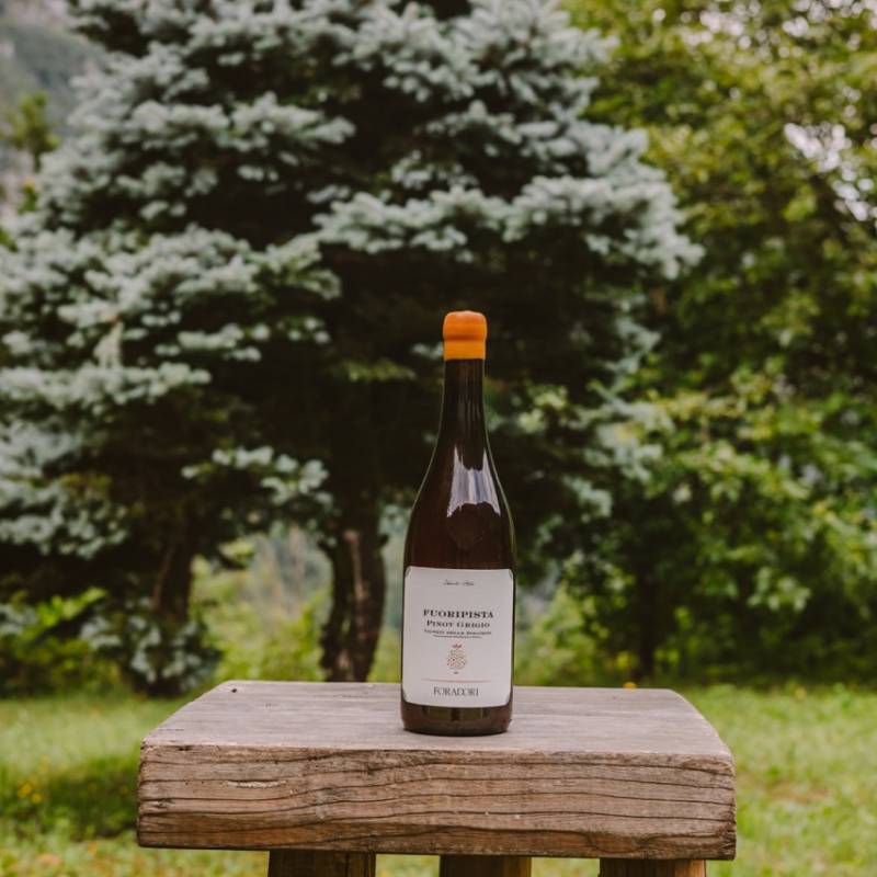 Foradori Fuoripista Pinot Grigio