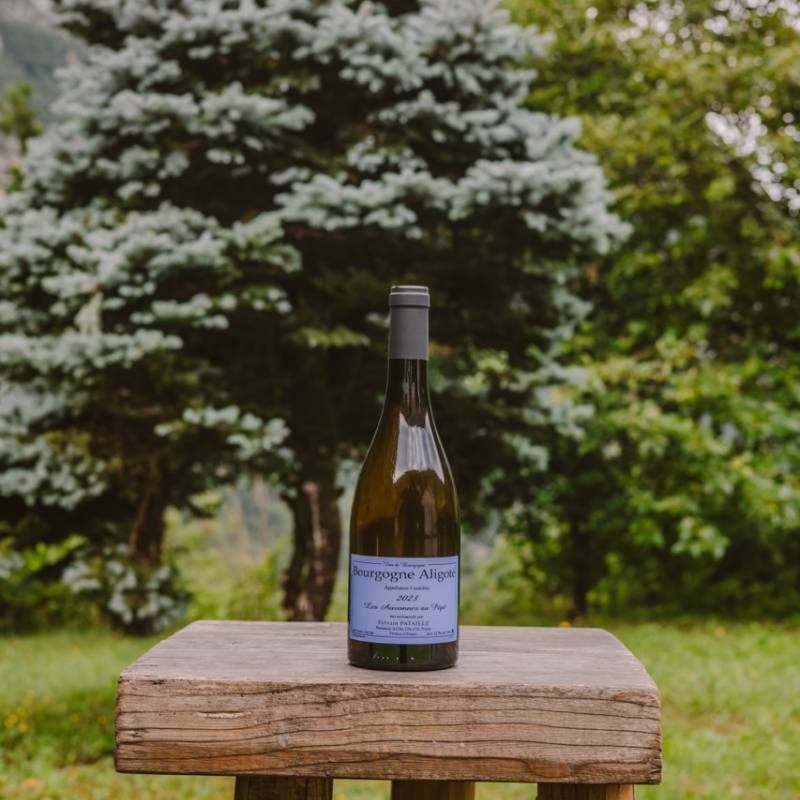 Pataille Sylvain Bourgogne Aligote Les Auvonnes au Pepe