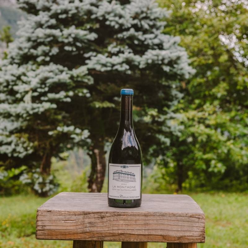 Domaine C.Thiriet Cote de Nuits La Montagne