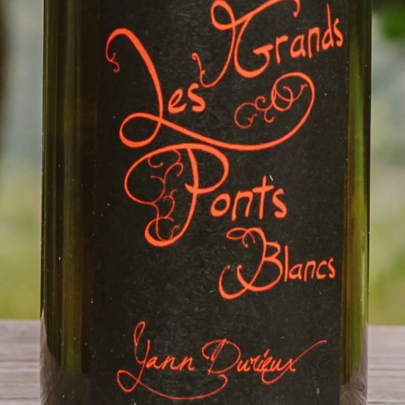 Yann Durieux - Recrue des Sens Les Grands Ponts Blancs 2023