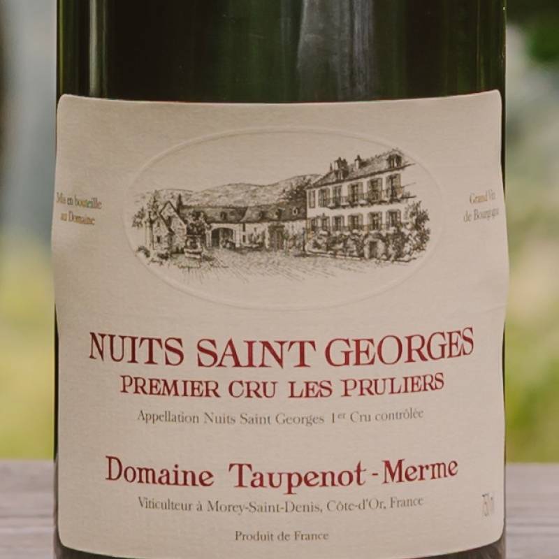 Taupenot Merme Nuit Saint Georges 1er Cru Les Pruliers 2021