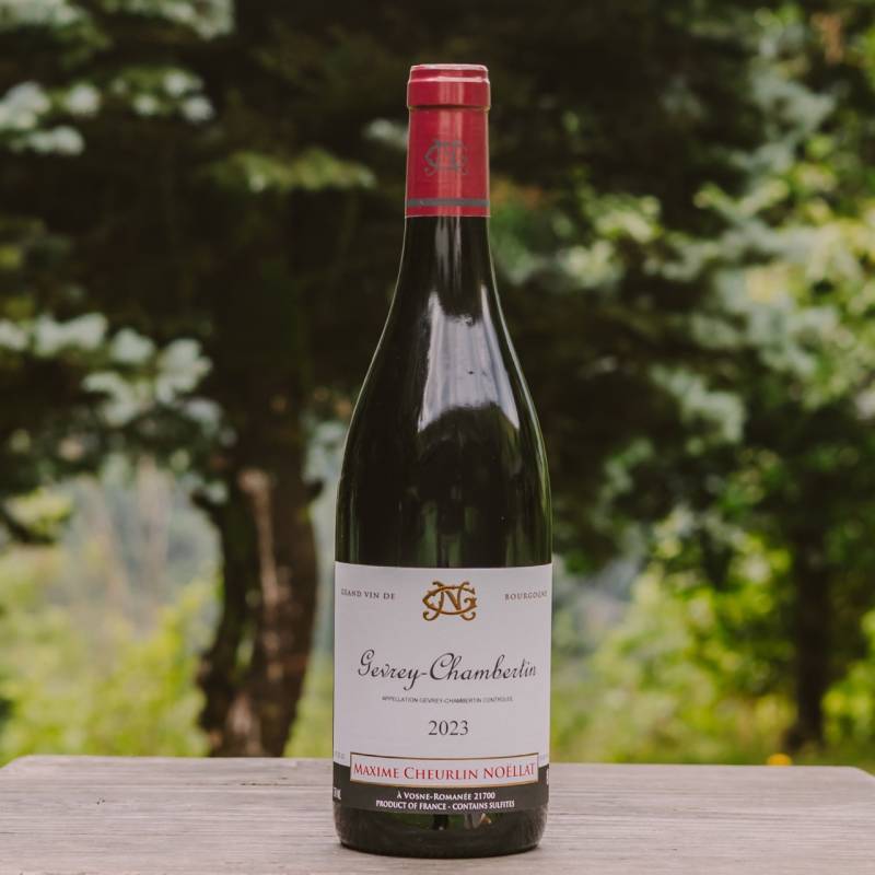 Gevrey Chambertin 2023