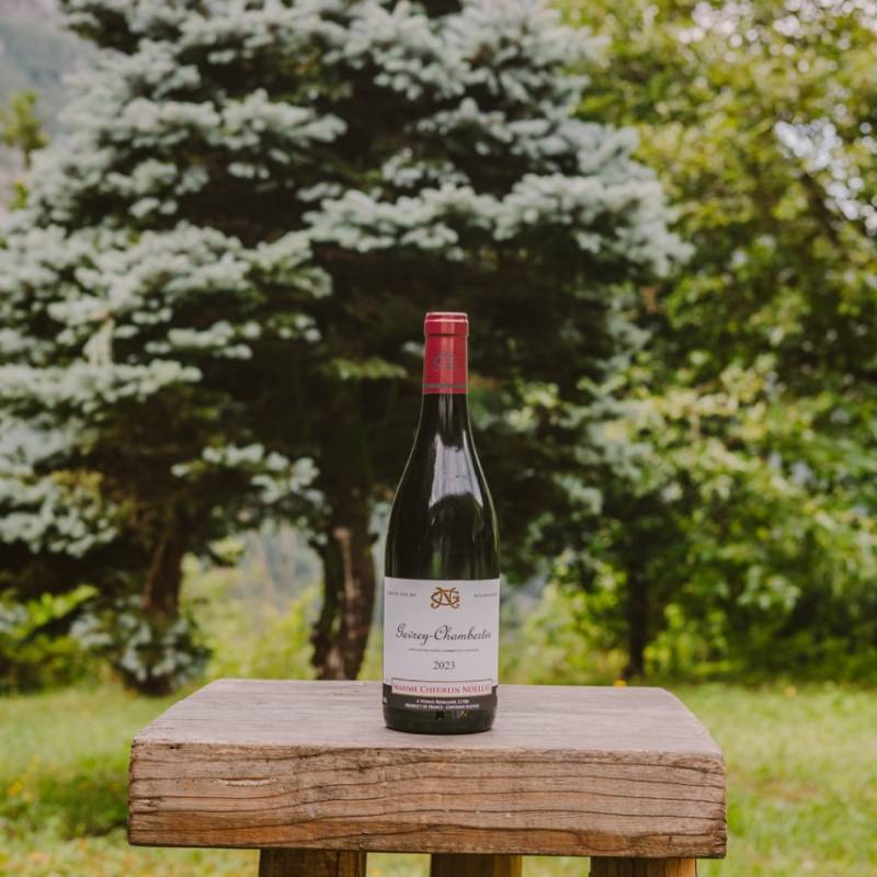 Maxime Cheurlin Noellat Gevrey Chambertin 2023