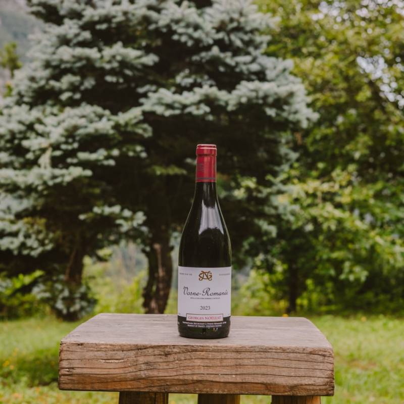 Georges Noellat Vosne Romanee 2023