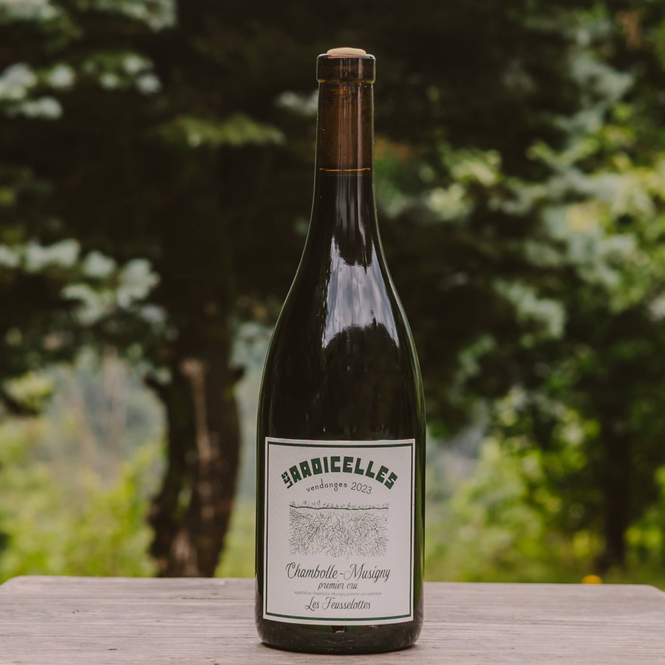 Les Radicelles Chambolle Musigny 1er Cru Les Feusselottes