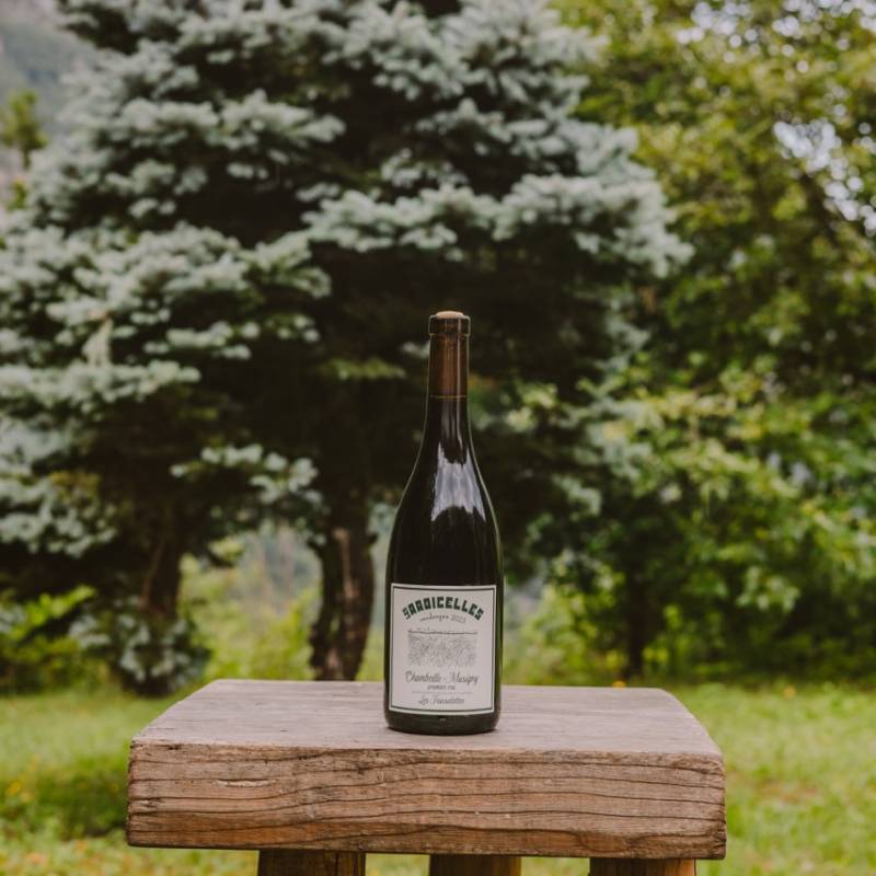 Les Radicelles Chambolle Musigny 1er Cru Les Feusselottes