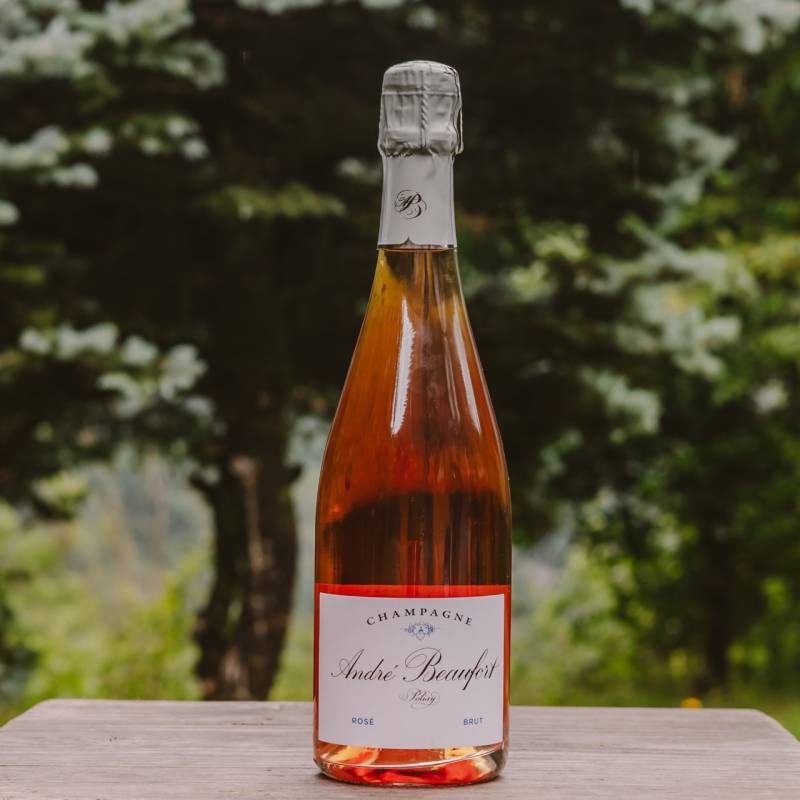 Polisy Rose Reserve