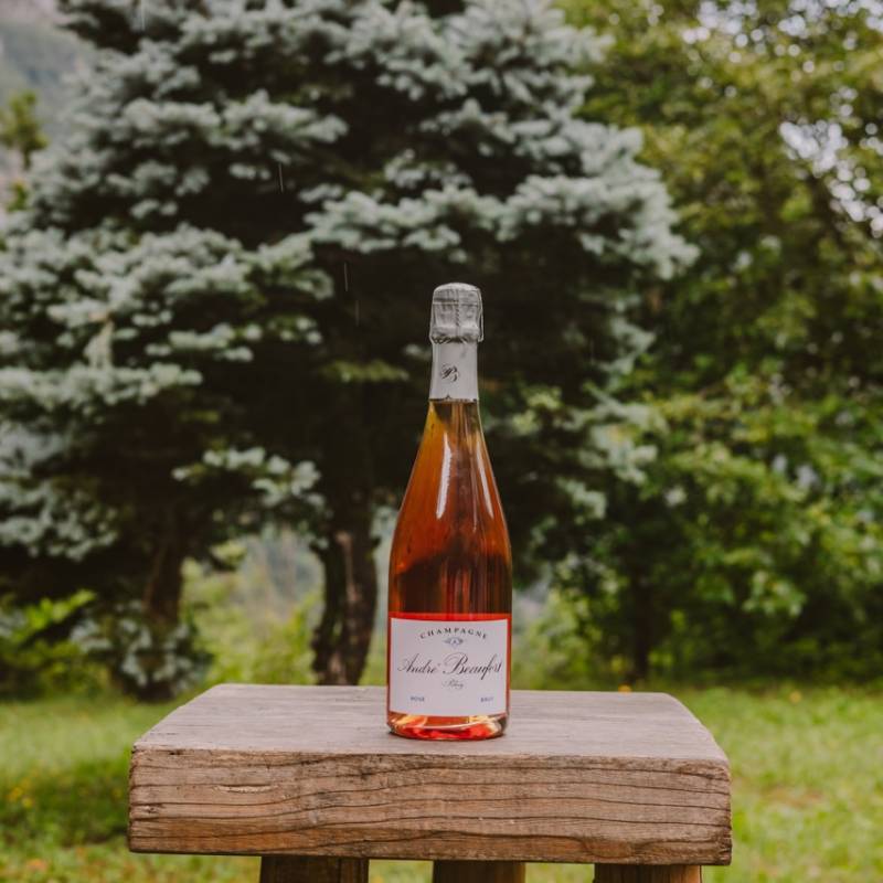 Andre Beaufort Polisy Rose Reserve