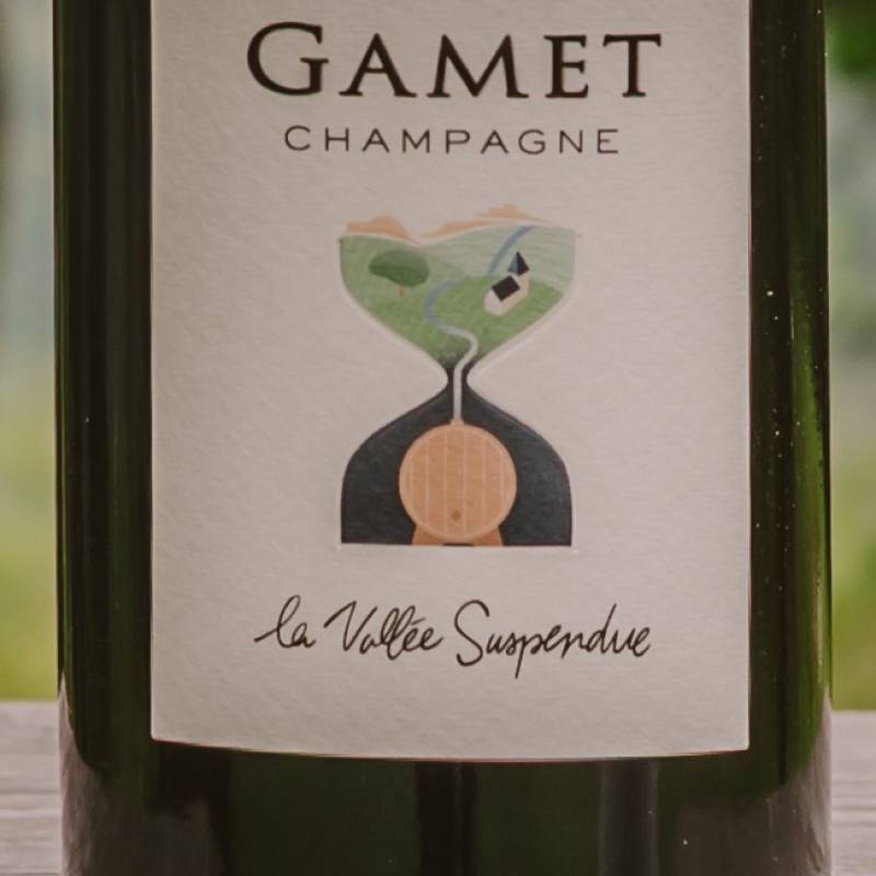 Vincent Gamet La Vallée Suspendue
