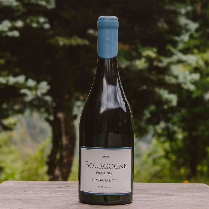 Bourgogne Pinot Noir 2018