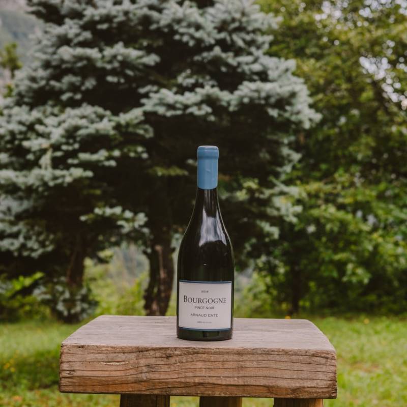 Arnaud Ente Bourgogne Pinot Noir 2018