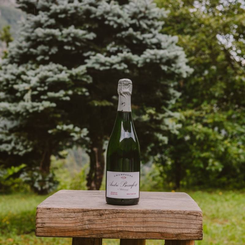 Andre Beaufort Ambonnay Reserve Grand Cru