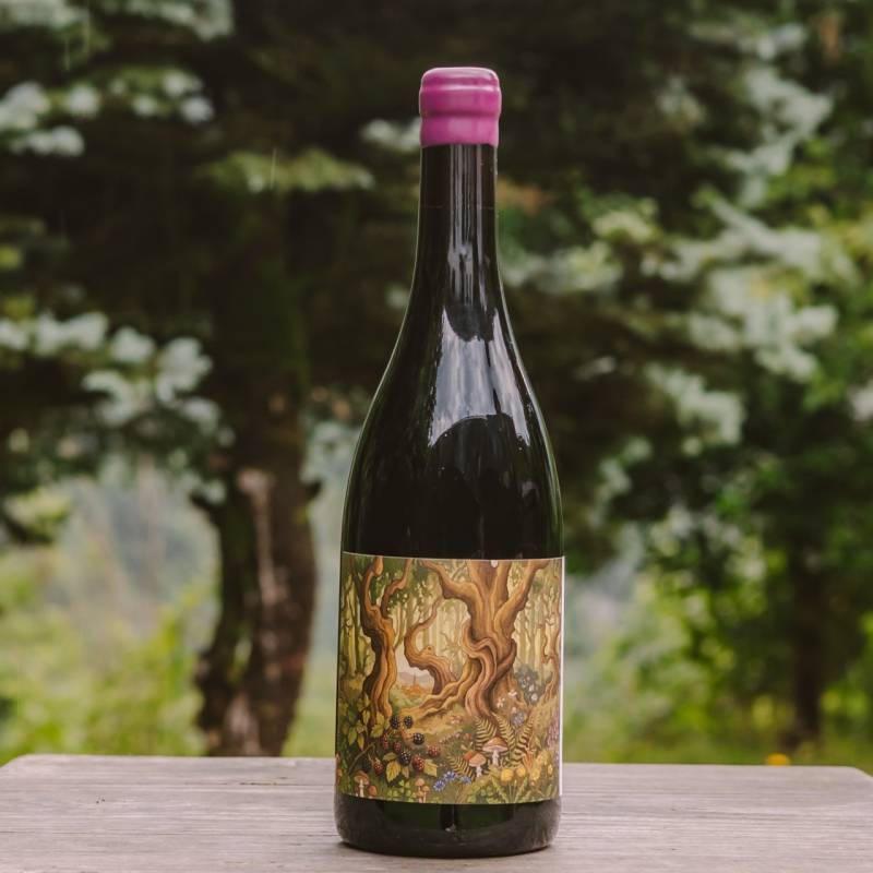 Pinot Nero Inalto