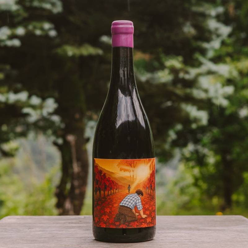 Pinot Nero Vecchie Vigne