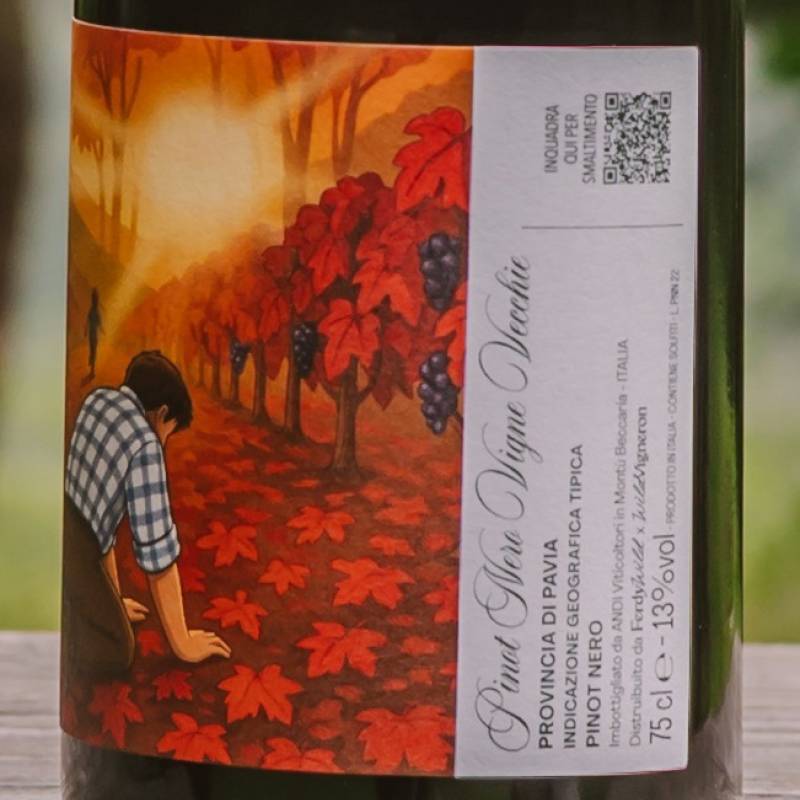 Fausto Andi Pinot Nero Vecchie Vigne