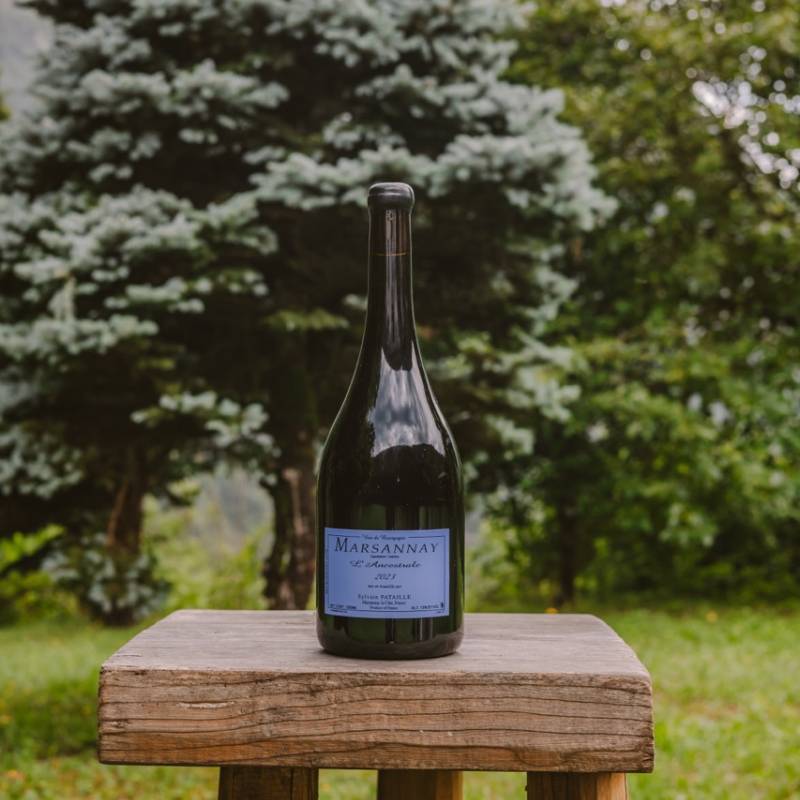 Pataille Sylvain Marsannay Ancestrale Rouge Magnum