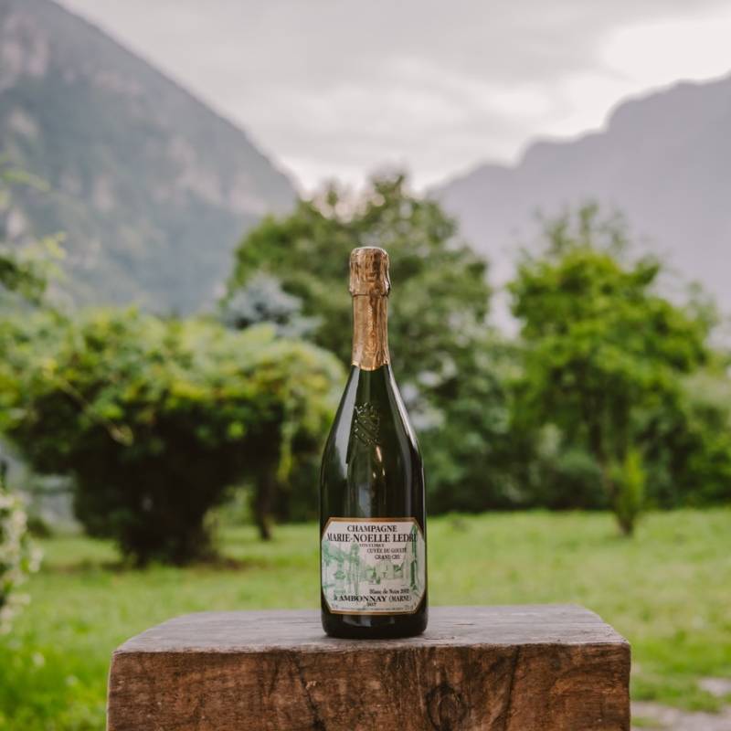Ledru Marie Noelle Cuvee du Goulte Extra-Brut Grand Cru 2002