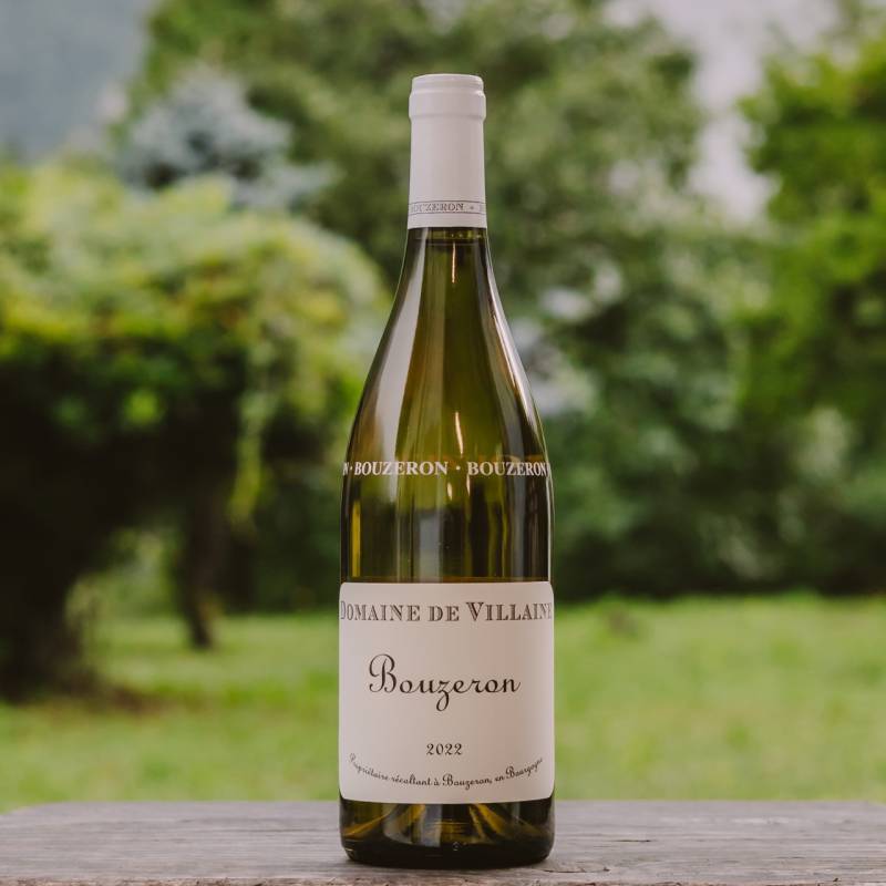 Bouzeron Aligote BIO 2022