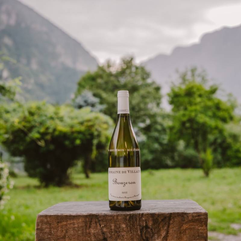 Domaine de Villaine Bouzeron Aligote BIO 2022