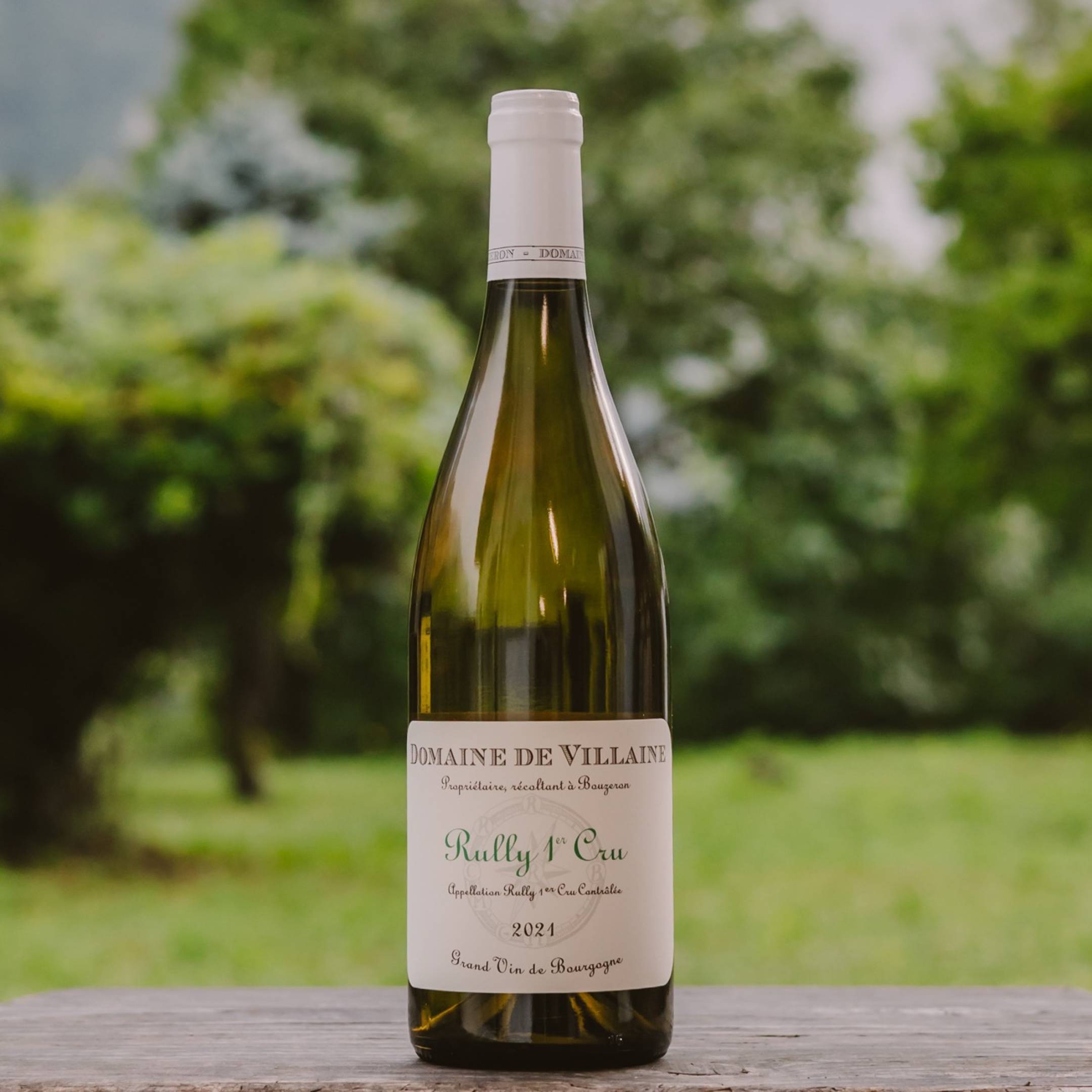 Domaine de Villaine Rully 1er Cru 2021