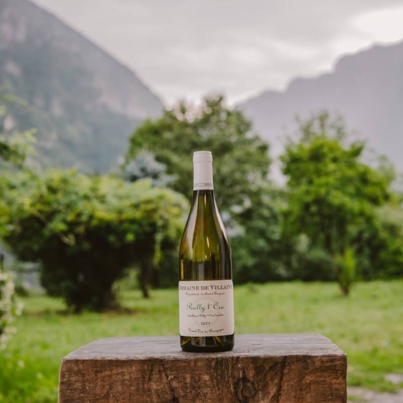 Domaine de Villaine Rully 1er Cru 2021