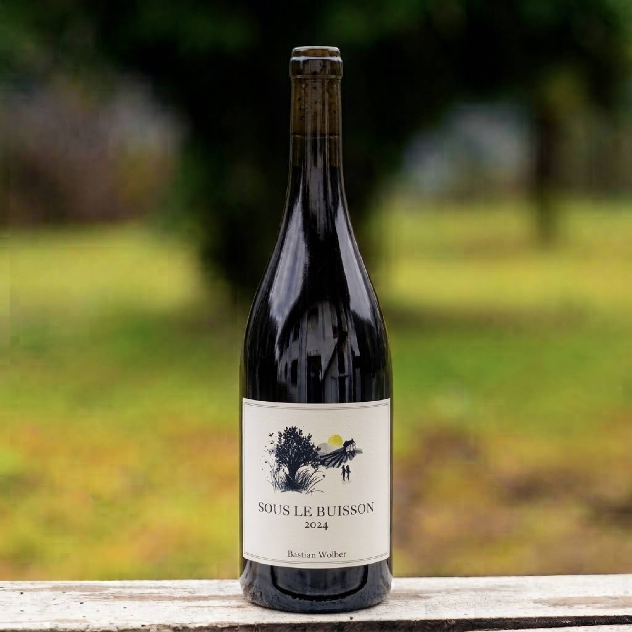 Bastian Wolber Sous Buisson Bourgogne Chardonnay a Ladoix Blanc