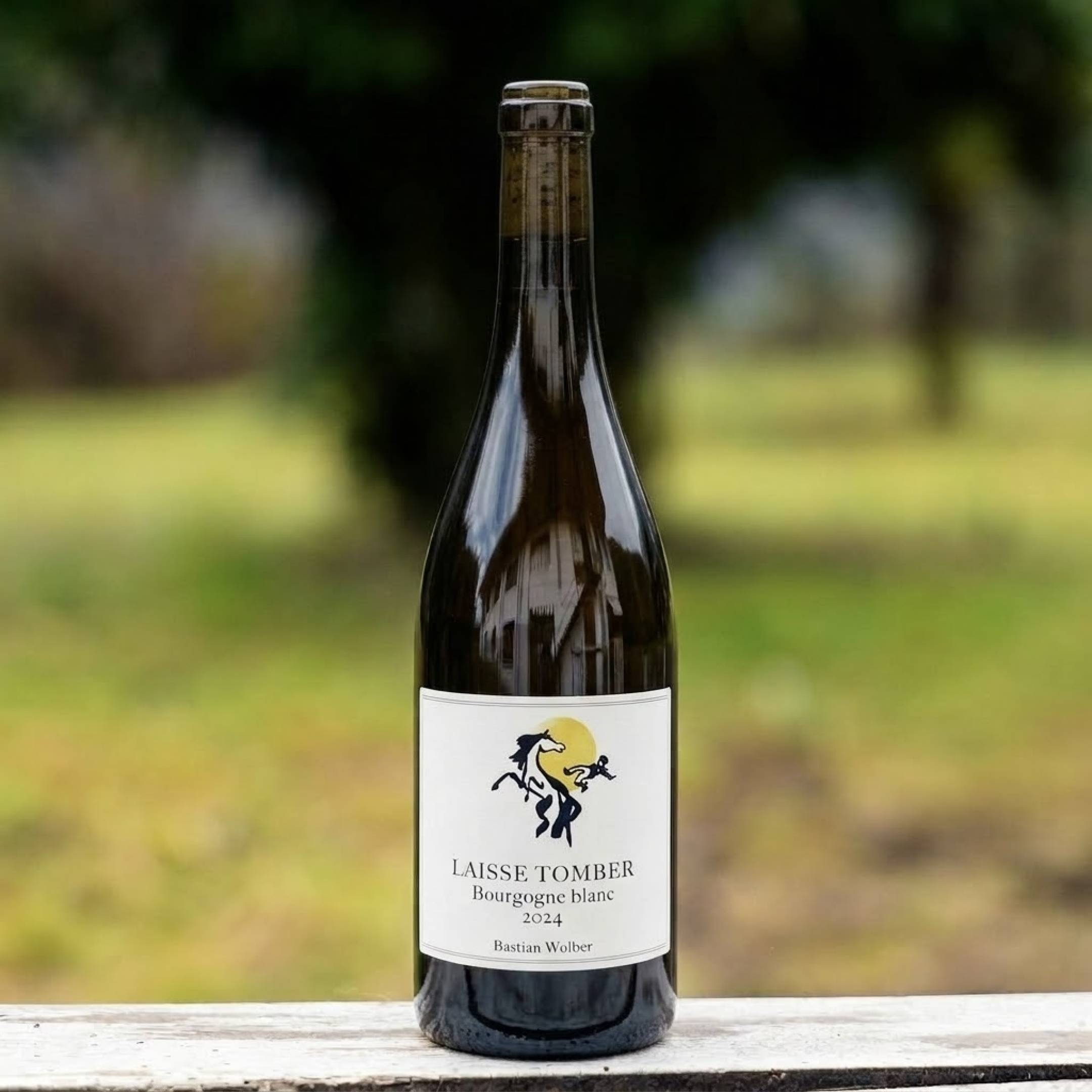 Bastian Wolber Bourgogne Blanc
