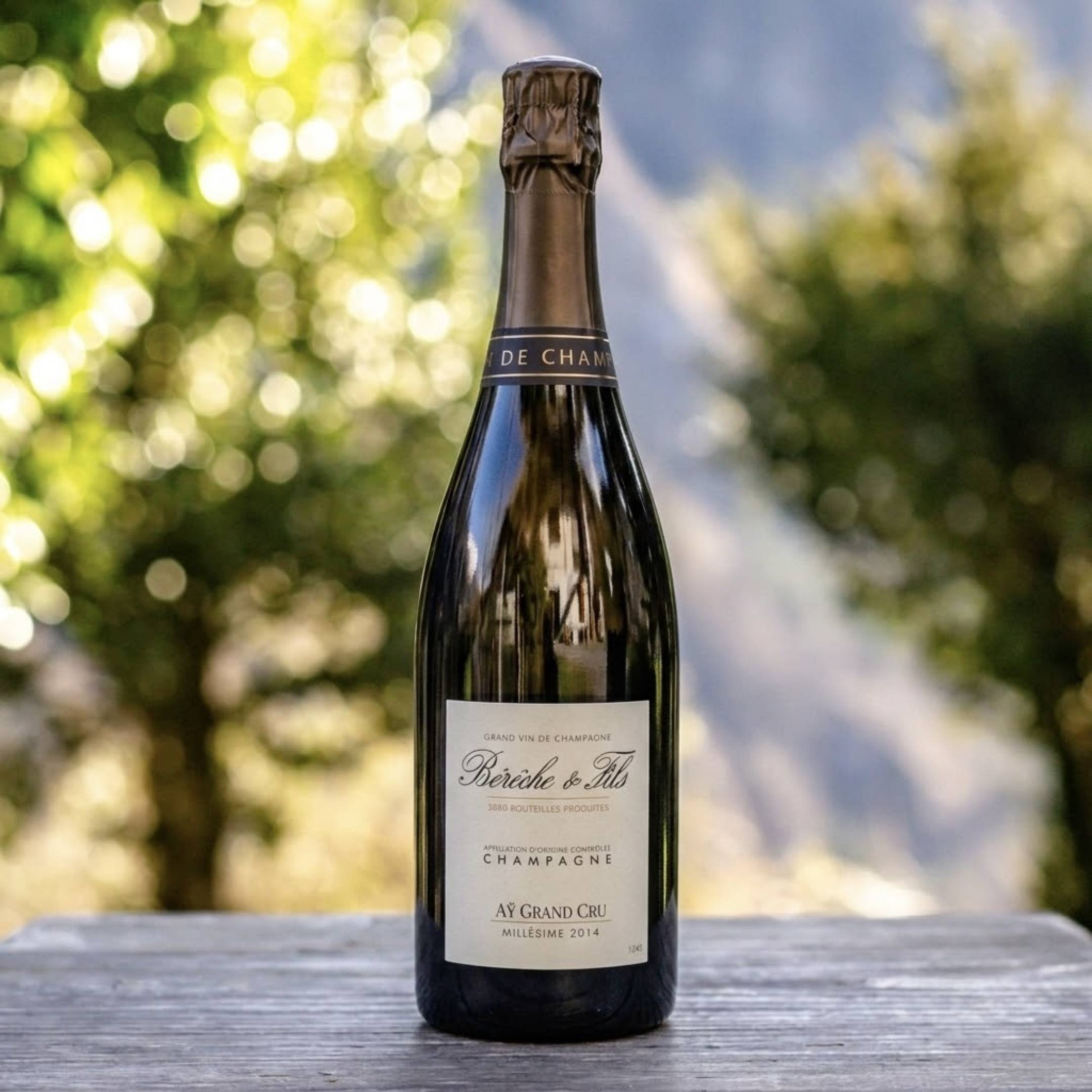Bereche et Fils Ay Grand Cru 2014