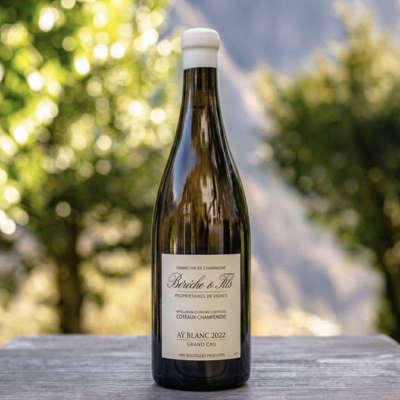 Coteaux Champenois Blanc Ay GC
