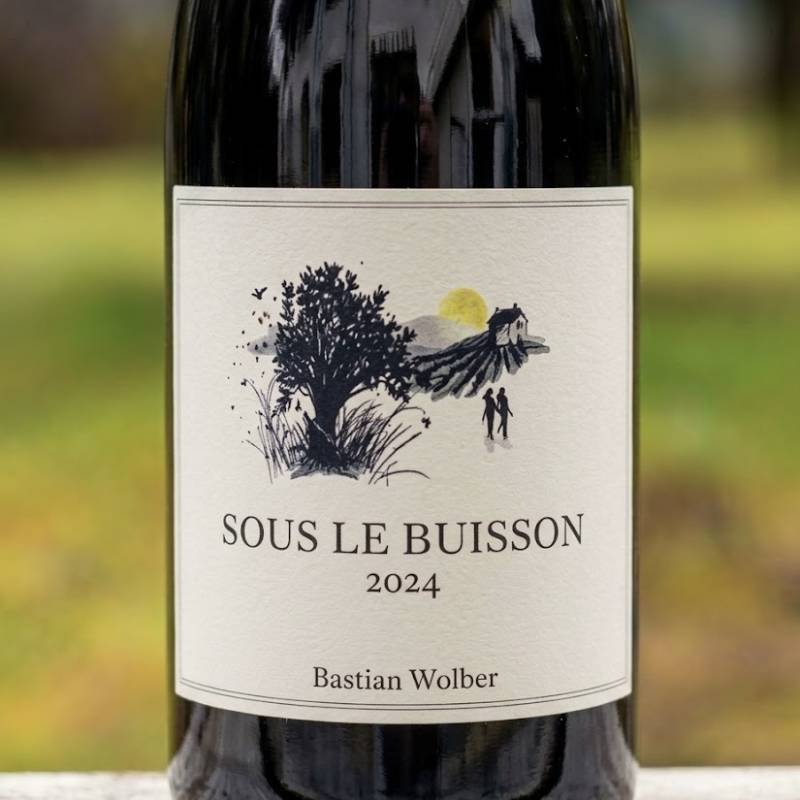 Bastian Wolber Sous Buisson Bourgogne Chardonnay a Ladoix Blanc