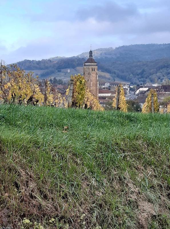 Bornard