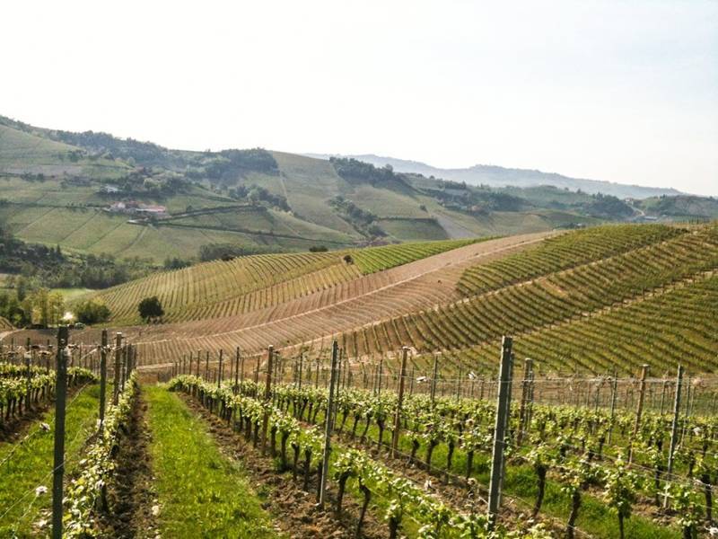 Bruno Giacosa