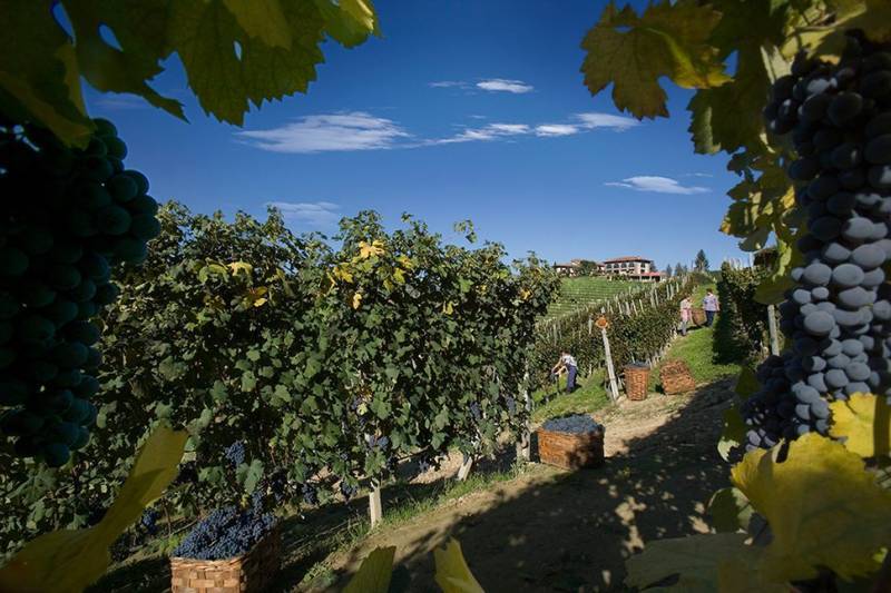Bruno Giacosa