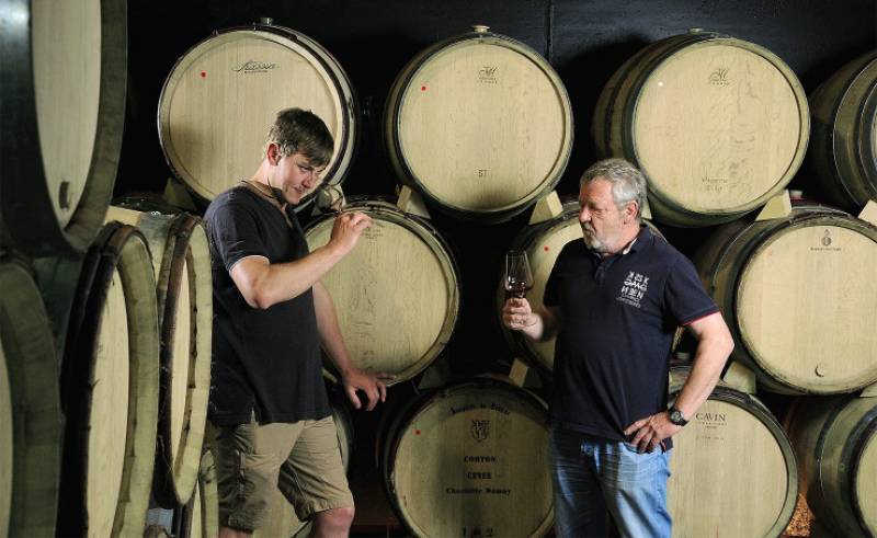 Domaine de Vernus