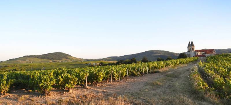 Domaine de Vernus