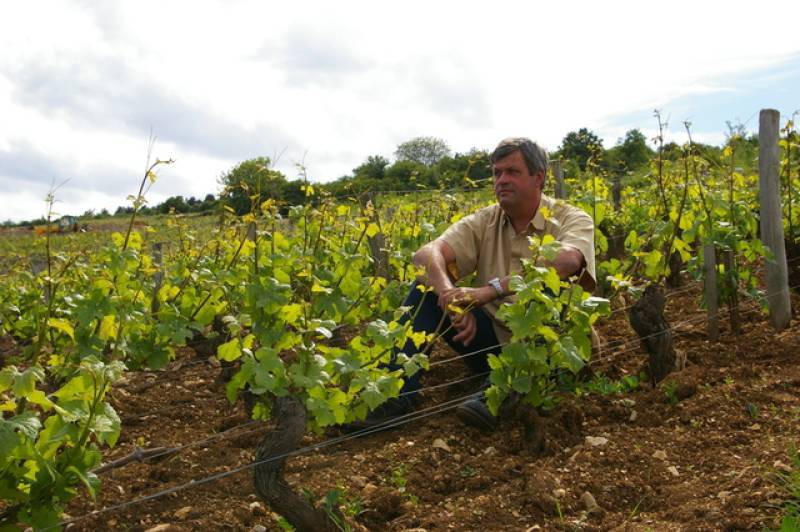 Domaine Forey Pere et Fils