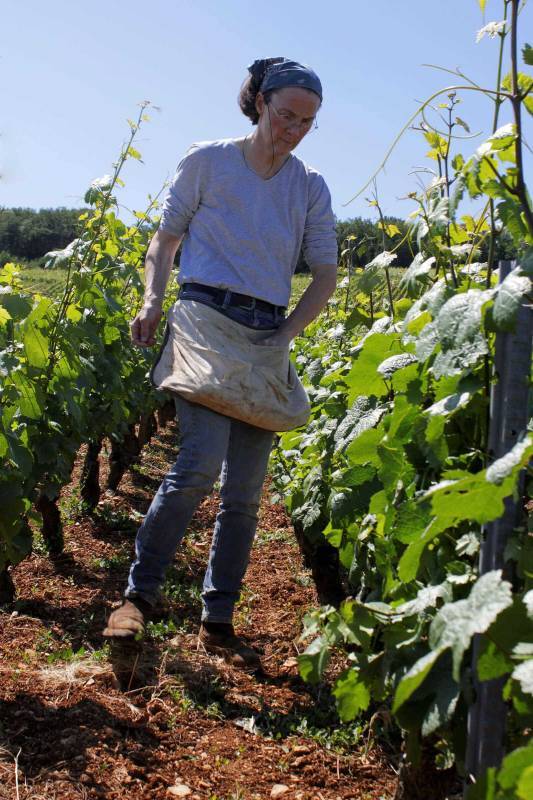 Domaine Henri Naudin-Ferrand
