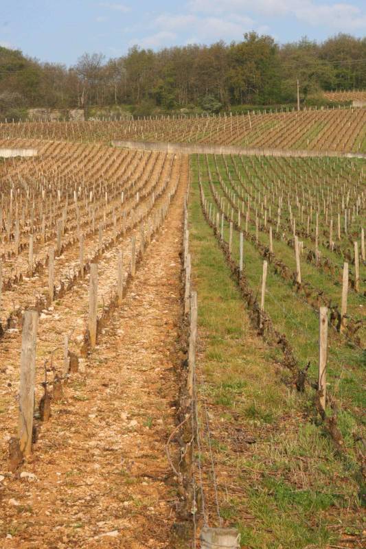 Domaine Henri Naudin-Ferrand