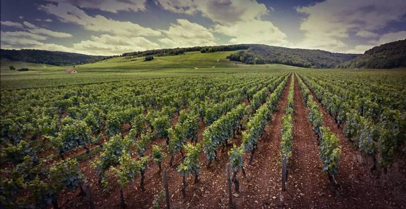 Domaine J.M. Millot